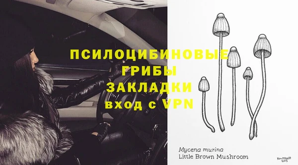герыч Верея