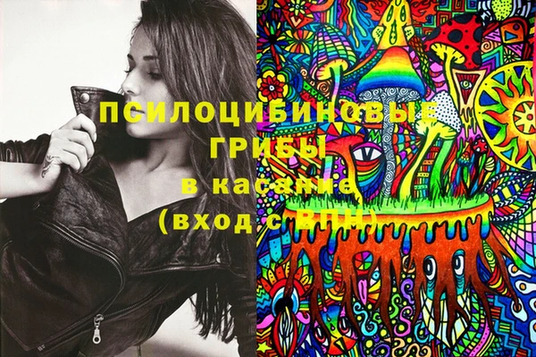 дмт Володарск
