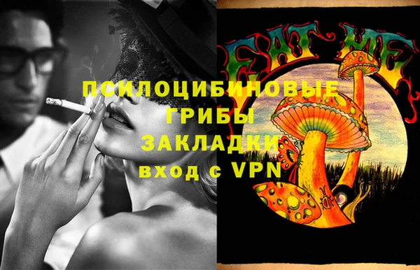 дмт Володарск