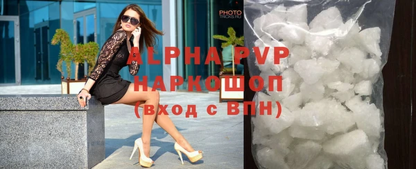 прущие грибы Верхний Тагил