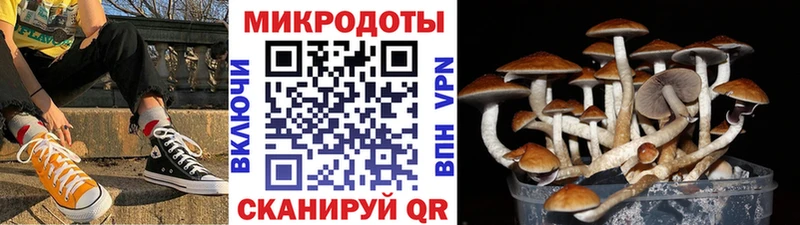 kraken зеркало  сайты даркнета формула  Псилоцибиновые грибы ЛСД  Ирбит 